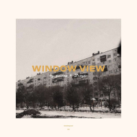 Window View (Single)