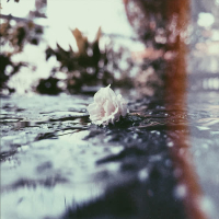 Tháng 6 Của Anh (Single)