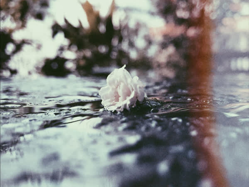 Tháng 6 Của Anh (Single)