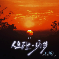 人生不过一场梦 (DJ版) (Single)
