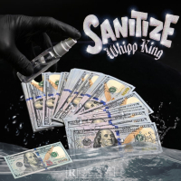 Sanitize (Single)
