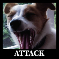 Attack (Single)