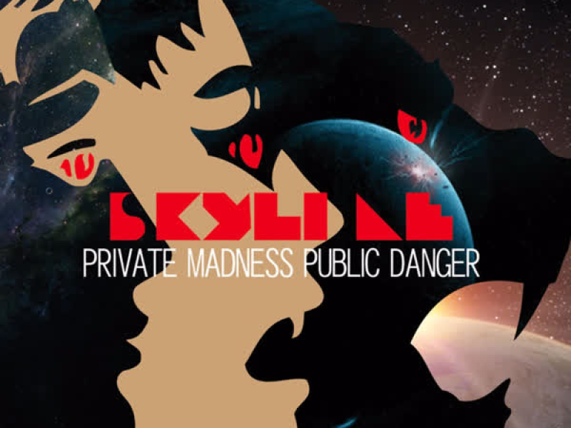 Private Madness Public Danger