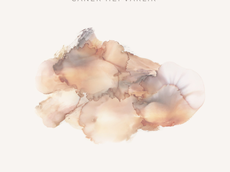 Alıştım Yalanlara (Single)