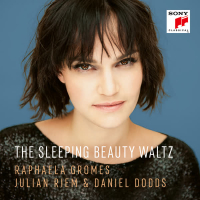 The Sleeping Beauty, Op. 66, Act 1, No. 6: Waltz (Arr. for Piano Trio by Julian Riem) (Single)