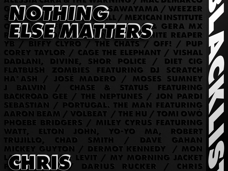 Nothing Else Matters (Single)
