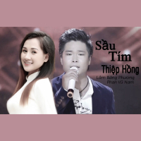 Sầu Tím Thiệp Hồng (Single)