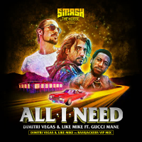 All I Need (DVLM X Bassjackers VIP MIX) (Single)