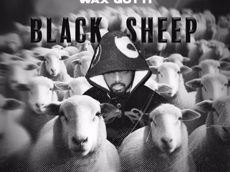 Black Sheep (Radio Edit)
