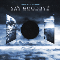 Say Goodbye (ft. Calvin Biasi) (Single)