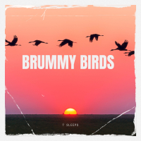 Brummy Birds (Single)
