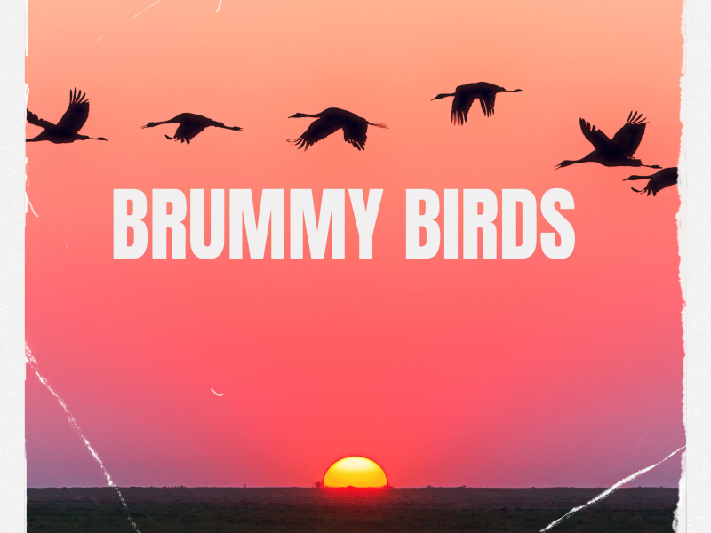 Brummy Birds (Single)