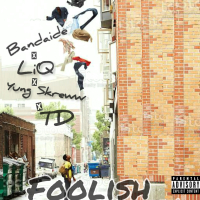 Foolish (feat. Yung Skreww & TD) (Single)