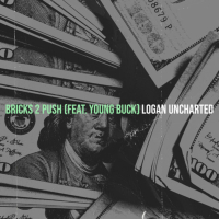 bricks 2 push (feat. Young Buck) (Single)