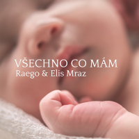 Všechno co mám (Single)