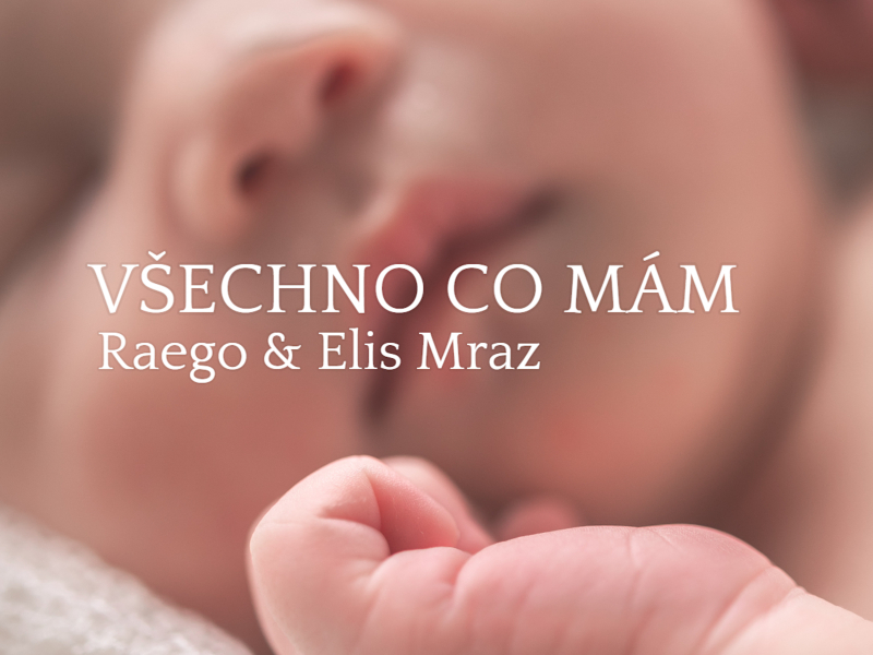 Všechno co mám (Single)