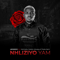 Nhliziyo Yam (Single)