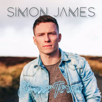 Simple Terms (Single)