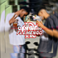 Camisa do FLAMENGO (Single)