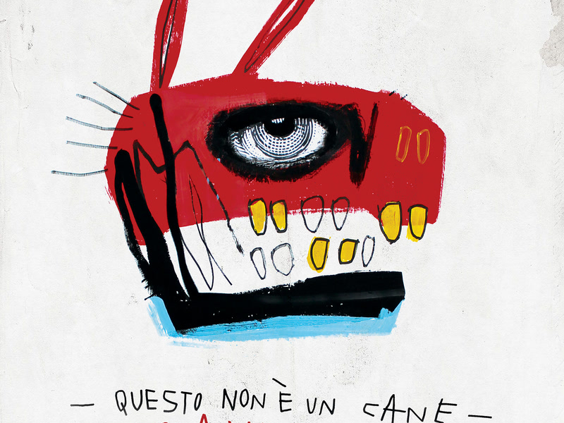 Questo non è un cane