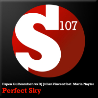 Perfect Sky (Single)