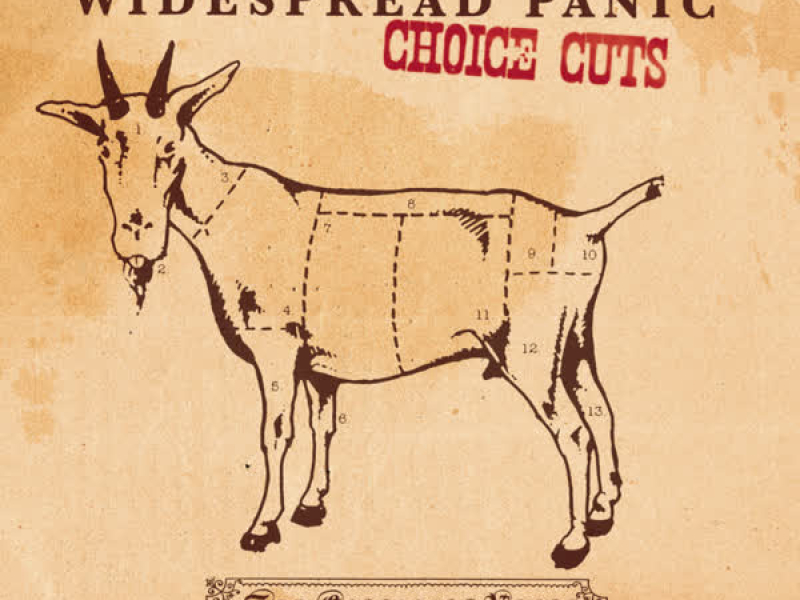 Choice Cuts: The Capricorn Years 1991-1999