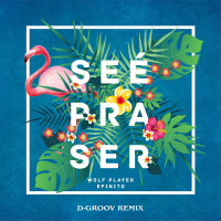 Se É Pra Ser (D-Groov Remix) (Single)