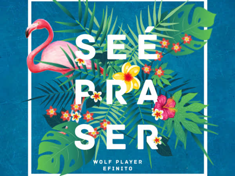 Se É Pra Ser (D-Groov Remix) (Single)