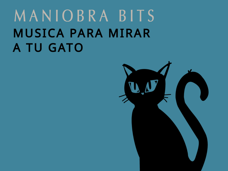 Música para Mirar a Tu Gato