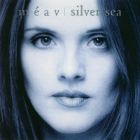 Silver Sea
