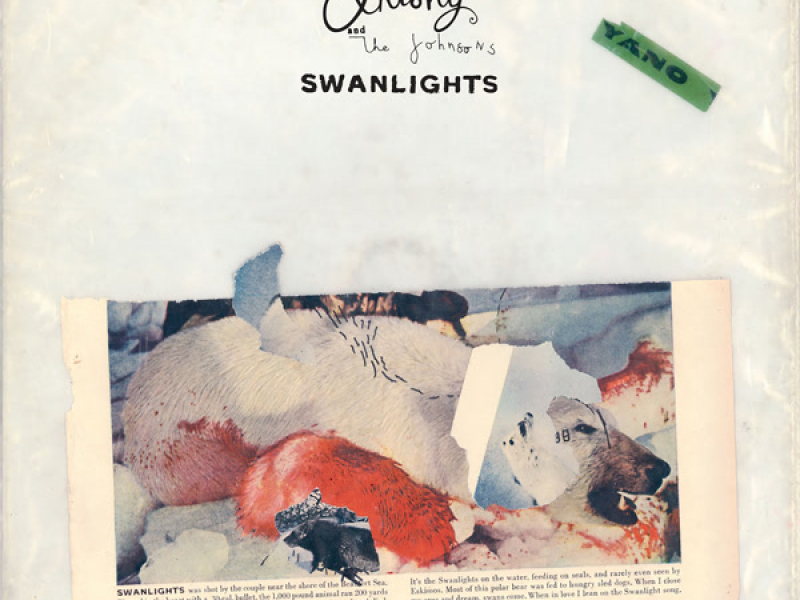 Swanlights