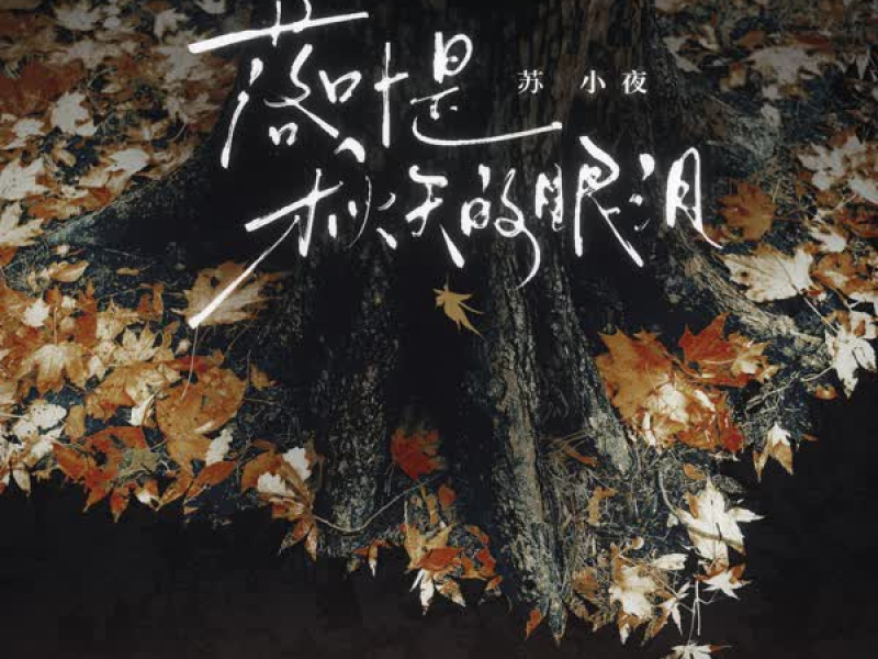 落叶是秋天的眼泪 (DJ阿卓版) (Single)