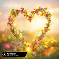 We Found Love (Single)