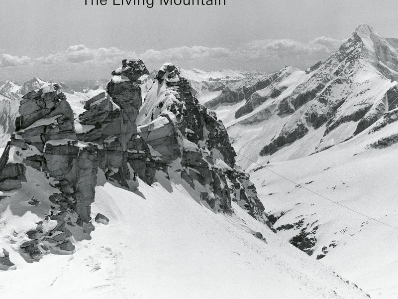 Larcher: The Living Mountain: IV. In September dawns I hardly breathe (Single)