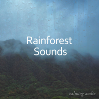 Rainforest Sounds for Massage and Studying (Single)
