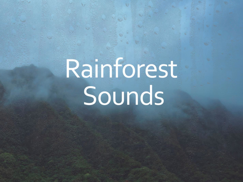 Rainforest Sounds for Massage and Studying (Single)