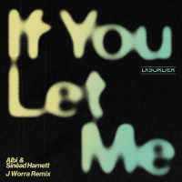 If You Let Me (J. Worra Remix) (Single)