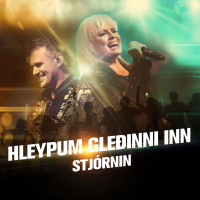 Hleypum gleðinni inn (Single)