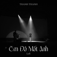 Em Đã Mất Anh (Lofi) (Single)
