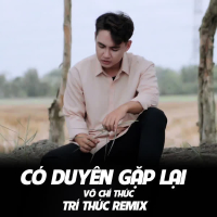 Có Duyên Gặp Lại (Trí Thức Remix) (Single)