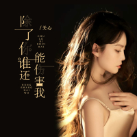 除了你谁还能伤害我 (EP)