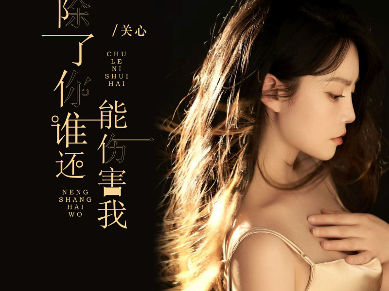 除了你谁还能伤害我 (EP)