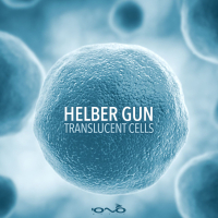 Translucent Cells (EP)