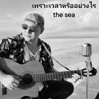 เพราะเวลาหรืออย่างไร (Single)