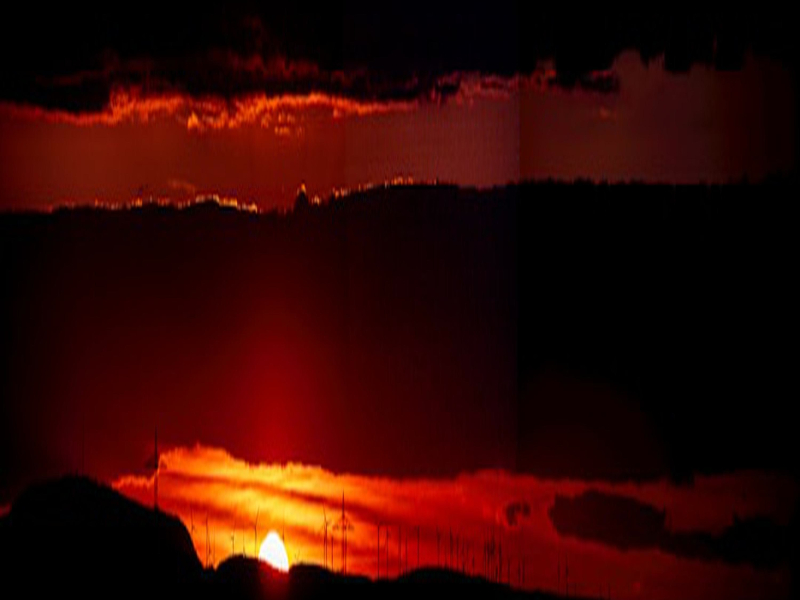 Lonely (Slowed) (Single)