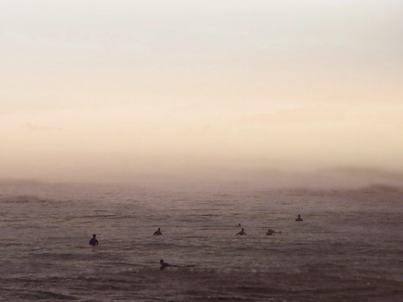 diaspora : 흩어진 사람들