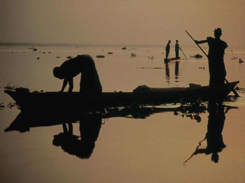 The Garden Of Mirrors