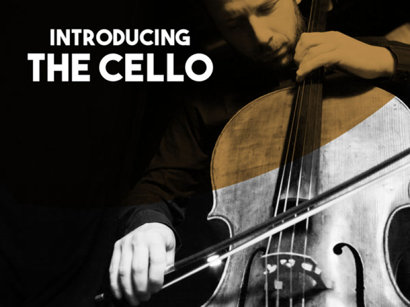 Introducing: The Cello