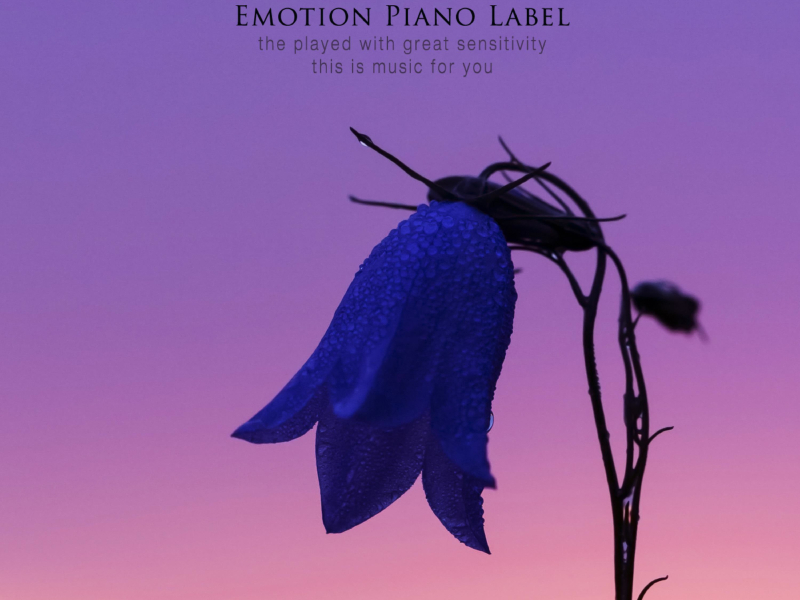 Flowers blooming at dawn (Single)