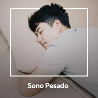 Sono Pesado